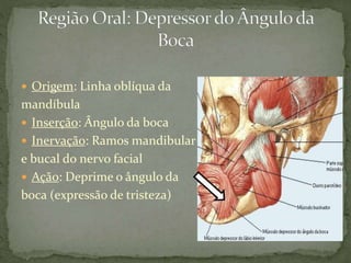  Origem: Linha oblíqua da
mandíbula
 Inserção: Ângulo da boca
 Inervação: Ramos mandibular
e bucal do nervo facial
 Ação: Deprime o ângulo da
boca (expressão de tristeza)
 