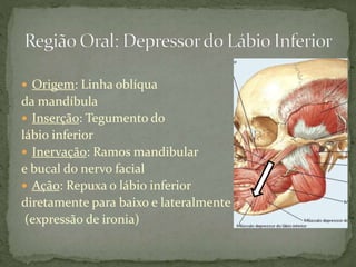  Origem: Linha oblíqua
da mandíbula
 Inserção: Tegumento do
lábio inferior
 Inervação: Ramos mandibular
e bucal do nervo facial
 Ação: Repuxa o lábio inferior
diretamente para baixo e lateralmente
(expressão de ironia)
 