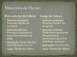 Reto anterior da Cabeça
 Inserção Superior:
Processo basilar do
occipital
 Inserção Inferior:
Processo transverso e
superfície anterior de
atlas
 Inervação: Ramo da alça
cervical entre C1 e C2
 Ação: Flexão da cabeça
Longo da Cabeça
 Inserção Superior:
Processo basilar do
occipital
 Inserção Inferior:
Tubérculos anteriores
dos processos
transversos da 3ª à 6ª
vértebras cervicais
 Inervação: C1, C2 e C3
 Ação: Flexão da cabeça
 