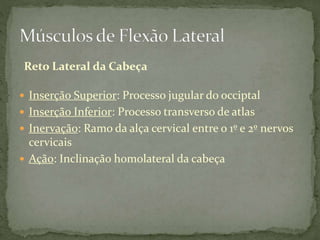  Inserção Superior: Processo jugular do occiptal
 Inserção Inferior: Processo transverso de atlas
 Inervação: Ramo da alça cervical entre o 1º e 2º nervos
cervicais
 Ação: Inclinação homolateral da cabeça
Reto Lateral da Cabeça
 