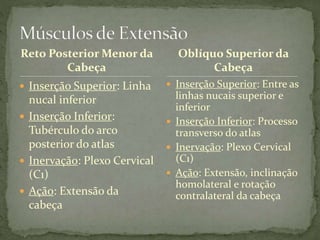 Reto Posterior Menor da
Cabeça
 Inserção Superior: Linha
nucal inferior
 Inserção Inferior:
Tubérculo do arco
posterior do atlas
 Inervação: Plexo Cervical
(C1)
 Ação: Extensão da
cabeça
 Inserção Superior: Entre as
linhas nucais superior e
inferior
 Inserção Inferior: Processo
transverso do atlas
 Inervação: Plexo Cervical
(C1)
 Ação: Extensão, inclinação
homolateral e rotação
contralateral da cabeça
Oblíquo Superior da
Cabeça
 