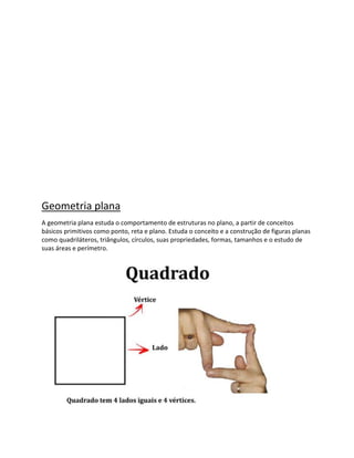 Geometria plana
A geometria plana estuda o comportamento de estruturas no plano, a partir de conceitos
básicos primitivos como ponto, reta e plano. Estuda o conceito e a construção de figuras planas
como quadriláteros, triângulos, círculos, suas propriedades, formas, tamanhos e o estudo de
suas áreas e perímetro.
 