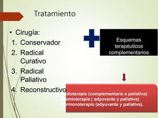 Tratamiento
• Cirugía:
1. Conservador
2. Radical
Curativo
3. Radical
Paliativo
4. Reconstructivo
Esquemas
terapéuticos
complementarios
Radioterapia (complementaria o paliativa)
Quimioterapia ( adyuvante y paliativa)
Hormonoterapia (adyuvante y paliativa).
 