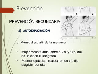 Prevención
PREVENCIÓN SECUNDARIA
o Mensual a partir de la menarca:
• Mujer menstruante: entre el 7o. y 10o. día
de iniciado el sangrado
• Posmenopáusica: realizar en un día fijo
elegible por ella
 