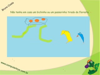 Não tenha em casa um bichinho ou um passarinho tirado da floresta.
 