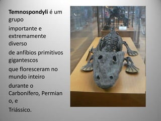 Temnospondyli é um grupoimportante e extremamente diversode anfíbios primitivos gigantescosque floresceram no mundo inteirodurante o Carbonífero, Permiano, eTriássico.
