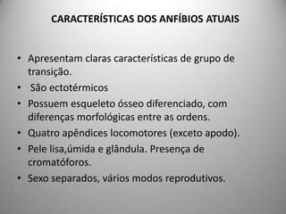 CARACTERÍSTICAS DOS ANFÍBIOS ATUAISApresentam claras características de grupo de transição. São ectotérmicosPossuem esqueleto ósseo diferenciado, com diferenças morfológicas entre as ordens.Quatro apêndices locomotores (exceto apodo).Pele lisa,úmida e glândula. Presença de cromatóforos.Sexo separados, vários modos reprodutivos.
