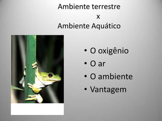 Ambiente terrestre         x Ambiente AquáticoO oxigênioO arO ambienteVantagem