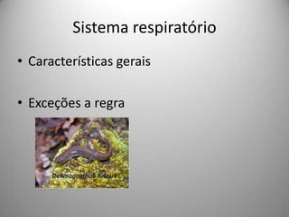 Sistema respiratórioCaracterísticas geraisExceções a regra