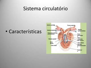 Sistema circulatórioCaracterísticas