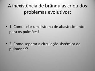 A inexistência de brânquias criou dos problemas evolutivos:1. Como criar um sistema de abastecimento para os pulmões?2. Como separar a circulação sistêmica da pulmonar?