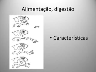 Alimentação, digestãoCaracterísticas