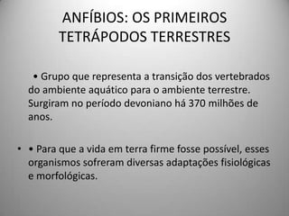 ANFÍBIOS: OS PRIMEIROS TETRÁPODOS TERRESTRES      • Grupo que representa a transição dos vertebrados do ambiente aquático para o ambiente terrestre. Surgiram no período devoniano há 370 milhões de anos.• Para que a vida em terra firme fosse possível, esses organismos sofreram diversas adaptações fisiológicas e morfológicas.