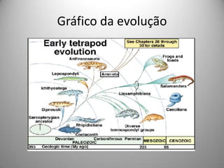 Gráfico da evolução