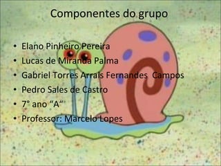 Componentes do grupo  Elano Pinheiro Pereira Lucas de Miranda Palma  Gabriel Torres Arrais Fernandes  Campos Pedro Sales de Castro 7° ano “A“ Professor: Marcelo Lopes 