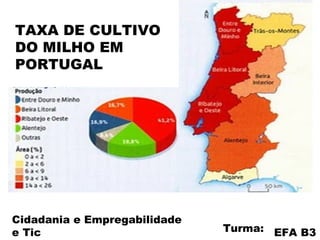 EFA B3Turma:
Cidadania e Empregabilidade
e Tic
TAXA DE CULTIVO
DO MILHO EM
PORTUGAL
 