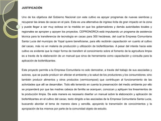 JUSTIFICACIÓN


Uno de los objetivos del Gobierno Nacional con este cultivo es apoyar programas de nuevas siembras y
recuperar las áreas de cacao en el país. Esta es una alternativa de ingreso lícita de gran impacto en la zona
y puede llegar a ser muy exitosa en la medida en que los gobernadores y demás autoridades locales y
regionales se apropien y apoyen los proyectos. CEPRONORCA está impulsando un programa de asistencia
técnica para la transferencia de tecnología en cacao para 300 hectáreas, del cual la Empresa Comunitaria
Santa Lucia del municipio de Yopal quiere beneficiarse, para ello recibirán capacitación en cuanto al cultivo
del cacao, más no en materia de producción y utilización de biofertilizantes. A pesar del interés hacia este
cultivo es evidente que la mejor forma de transferir el conocimiento sobre el fomento de la agricultura limpia
es a través de la elaboración de un manual que sirva de herramienta como capacitación y consulta para la
aplicación de biofertilizantes.


Este proyecto permite a la Empresa Comunitaria no solo demostrar, a través del trabajo de sus asociadas y
autoras, que se puede producir sin afectar el ambiente y la salud de los productores y los consumidores; sino
también producir alimentos y otros productos (vermicompost) que contribuyan al funcionamiento de las
actividades que allí se desarrollan. Todo ello teniendo en cuenta la preservación del medio ambiente por ello
se propenderá por que las madres cabeza de familia se acerquen, conozcan y apliquen los lineamientos de
la producción limpia. De esta manera es necesario diseñar un manual sobre la elaboración y aplicación de
biofertilizantes en el cultivo del cacao, texto dirigido a las asociadas de la Empresa Comunitaria Santa Lucia,
buscando abordar el tema de manera clara y sencilla, apoyando la transmisión de conocimientos y la
apropiación de los mismos por parte de la comunidad objeto de estudio.
 