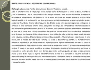 MARCO DE REFERENCIA - REFERENTES CONCEPTUALES


Morfología y taxonomía: Familia: Esterculiáceas. Especie: Theobroma cacao L.
Árbol de tamaño mediano (5-8 m) aunque puede alcanzar alturas de hasta 20 m, su corona es densa, redondeada
y con un diámetro de 7 a 9 m. Tronco recto, su raíz principal pivotante y tiene muchas secundarias, la mayoría de
las cuales se encuentran en los primeros 30 cm de suelo, sus hojas son simples, enteras y de color verde
bastante variable y de pecíolo corto, sus flores se producen en racimos pequeños, se abren durante las tardes y
pueden ser fecundadas durante todo el siguiente día. El cáliz es de color rosa con segmentos puntiagudos; la
corola es de color blancuzco, amarillo o rosa. Los pétalos son largos. La polinización es entomófila destacando
una mosquita del género Forcipomya, el fruto es de tamaño, color y formas variables, generalmente tienen forma
de baya, de 30 cm de largo y 10 cm de diámetro, La pared del fruto es gruesa, dura o suave y de consistencia
como de cuero. Los frutos se dividen interiormente en cinco celdas. La pulpa es blanca, rosada o café, de sabor
ácido a dulce y aromática. El contenido de semillas por baya es de 20 a 40 y son planas o redondeadas, de color
blanco, café o morado, de sabor dulce o amargo. El cacao se desarrolla bajo sombra. La humedad relativa
también es importante ya que puede contribuir a la propagación de algunas enfermedades del fruto. EL cacao no
soporta temperaturas bajas, siendo su límite medio anual de temperatura los 21 ºC, el cultivo que debe estar bajo
sombra. El cacao es una planta sensible a la escasez de agua pero también al encharcamiento por lo que se
precisarán de suelos provistos de un buen drenaje. Los vientos continuos pueden provocar un desecamiento,
muerte y caída de las hojas. El objetivo del sombreamiento al inicio de la plantación es reducir la cantidad de
radiación que llega al cultivo para reducir la actividad de la planta y proteger al cultivo de los vientos que la puedan
perjudicar. El cacao requiere suelos muy ricos en materia orgánica, profundos, franco arcillosos, con buen drenaje
y topografía regular.
 