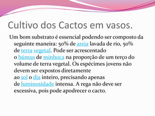 Cultivo dos Cactos em vasos.
Um bom substrato é essencial podendo ser composto da
 seguinte maneira: 50% de areia lavada de rio, 50%
 de terra vegetal. Pode ser acrescentado
 o húmus de minhoca na proporção de um terço do
 volume de terra vegetal. Os espécimes jovens não
 devem ser expostos diretamente
 ao sol o dia inteiro, precisando apenas
 de luminosidade intensa. A rega não deve ser
 excessiva, pois pode apodrecer o cacto.
 