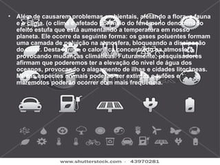 •   Além de causarem problemas ambientais, afetando a flora, a fauna
    e o clima. (o clima é afetado por meio do fenômeno denominado
    efeito estufa que está aumentando a temperatura em nosso
    planeta. Ele ocorre da seguinte forma: os gases poluentes formam
    uma camada de poluição na atmosfera, bloqueando a dissipação
    do calor. Desta forma, o calor fica concentrado na atmosfera,
    provocando mudanças climáticas. Futuramente, pesquisadores
    afirmam que poderemos ter a elevação do nível de água dos
    oceanos, provocando o alagamento de ilhas e cidades litorâneas.
    Muitas espécies animais poderão ser extintas e tufões e
    maremotos poderão ocorrer com mais freqüência.
 