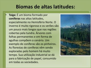 Biomas de altas latitudes:
• Taiga: É um bioma formado por
coníferas nas altas latitudes,
especialmente no Hemisfério Norte. O
inverno é muito rigoroso e os verões são
um pouco mais longos que nas regiões
cobertas pela tundra. Árvores com
folhas permanentes e em forma de
agulhas compõem o cenário. Um
exemplo de coníferas são os pinheiros.
As florestas de coníferas vêm sendo
exploradas pelo homem há muito
tempo. Sua utilização industrial se dá
para a fabricação de papel, consumido
em todas as sociedades.
 