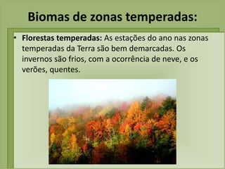 Biomas de zonas temperadas:
• Florestas temperadas: As estações do ano nas zonas
temperadas da Terra são bem demarcadas. Os
invernos são frios, com a ocorrência de neve, e os
verões, quentes.
 