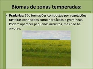 Biomas de zonas temperadas:
• Pradarias: São formações compostas por vegetações
rasteiras conhecidas como herbáceas e gramíneas.
Podem aparecer pequenos arbustos, mas não há
árvores.
 