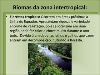 Biomas da zona intertropical:
• Florestas tropicais: Ocorrem em áreas próximas à
Linha do Equador. Apresentam riqueza e variedade
enorme de vegetação, pois se localizam em uma
região onde faz calor e chove muito durante o ano
todo. Devido à umidade, as folhas e galhos que caem
entram em decomposição, nutrindo a floresta.
 