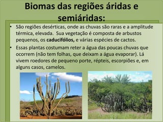 Biomas das regiões áridas e
semiáridas:
• São regiões desérticas, onde as chuvas são raras e a amplitude
térmica, elevada. Sua vegetação é composta de arbustos
pequenos, os caducifólios, e várias espécies de cactos.
• Essas plantas costumam reter a água das poucas chuvas que
ocorrem (não tem folhas, que deixam a água evaporar). Lá
vivem roedores de pequeno porte, répteis, escorpiões e, em
alguns casos, camelos.
 