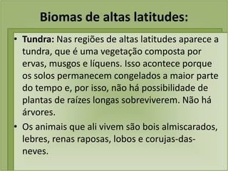 Biomas de altas latitudes:
• Tundra: Nas regiões de altas latitudes aparece a
tundra, que é uma vegetação composta por
ervas, musgos e líquens. Isso acontece porque
os solos permanecem congelados a maior parte
do tempo e, por isso, não há possibilidade de
plantas de raízes longas sobreviverem. Não há
árvores.
• Os animais que ali vivem são bois almiscarados,
lebres, renas raposas, lobos e corujas-das-
neves.
 