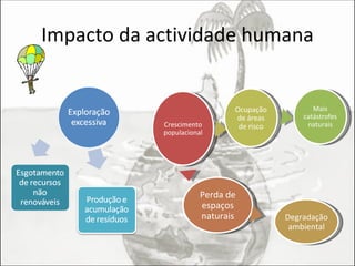 Impacto da actividade humana Crescimento populacional Perda de espaços naturais Degradação ambiental Ocupação de áreas de risco Mais catástrofes naturais 