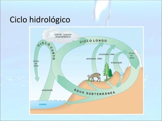 Ciclo hidrológico 