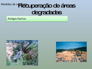 Recuperação de áreas degradadas Medidas de combate 