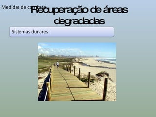 Recuperação de áreas degradadas Medidas de combate 