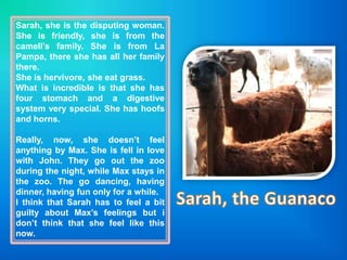 Sarah, she is the disputing woman. She is friendly, she is from the camell’s family. She is from La Pampa, there she has all her family there.She is hervivore, she eat grass.What is incredible is that she has four stomach and a digestive system very special. She has hoofs and horns.Really, now, she doesn’t feelanything by Max. She is fell in love with John. They go out the zoo during the night, while Max stays in the zoo. The go dancing, havingdinner, havingfunonlyfor a while. I think that Sarah has to feel a bit guilty about Max’sfeelingsbut i don’t think that she feel like this now.Sarah, the Guanaco