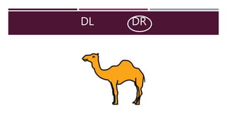DL DR
 