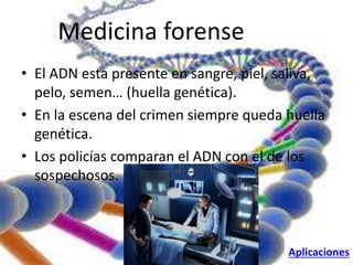 Medicina forense 
• El ADN esta presente en sangre, piel, saliva, 
pelo, semen… (huella genética). 
• En la escena del crimen siempre queda huella 
genética. 
. 
• Los policías comparan el ADN con el de los 
sospechosos. 
Aplicaciones 
 