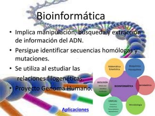 Bioinformática 
• Implica manipulación, búsqueda y extracción 
de información del ADN. 
• Persigue identificar secuencias homólogas y 
mutaciones. 
- 
• Se utiliza al estudiar las 
relaciones filogenéticas. 
• Proyecto Genoma Humano. 
Aplicaciones 
 