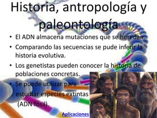 Historia, antropología y 
paleontología 
• El ADN almacena mutaciones que se heredan. 
• Comparando las secuencias se pude inferir la 
historia evolutiva. 
. 
• Los genetistas pueden conocer la historia de 
poblaciones concretas. 
• Se puede utilizar para 
estudiar especies extintas 
(ADN fósil). 
Aplicaciones 
 