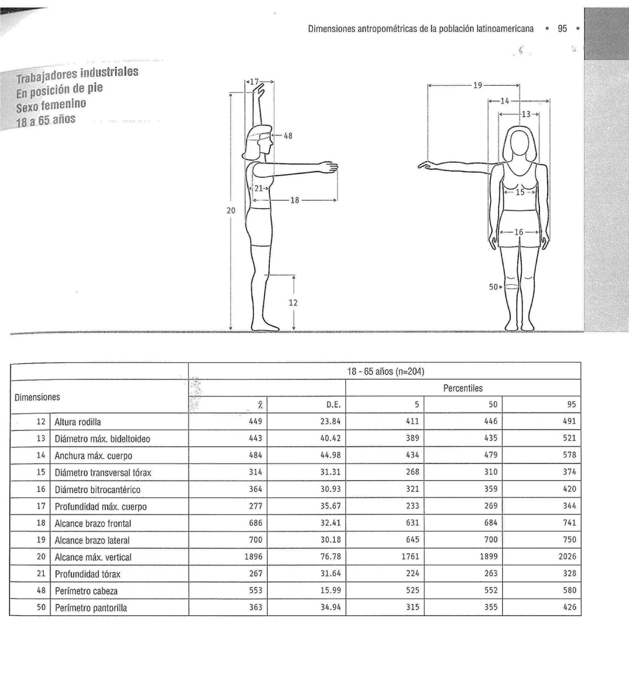 Dimensiones Antropométricas Mexicanas de 18 a 65 años | PDF