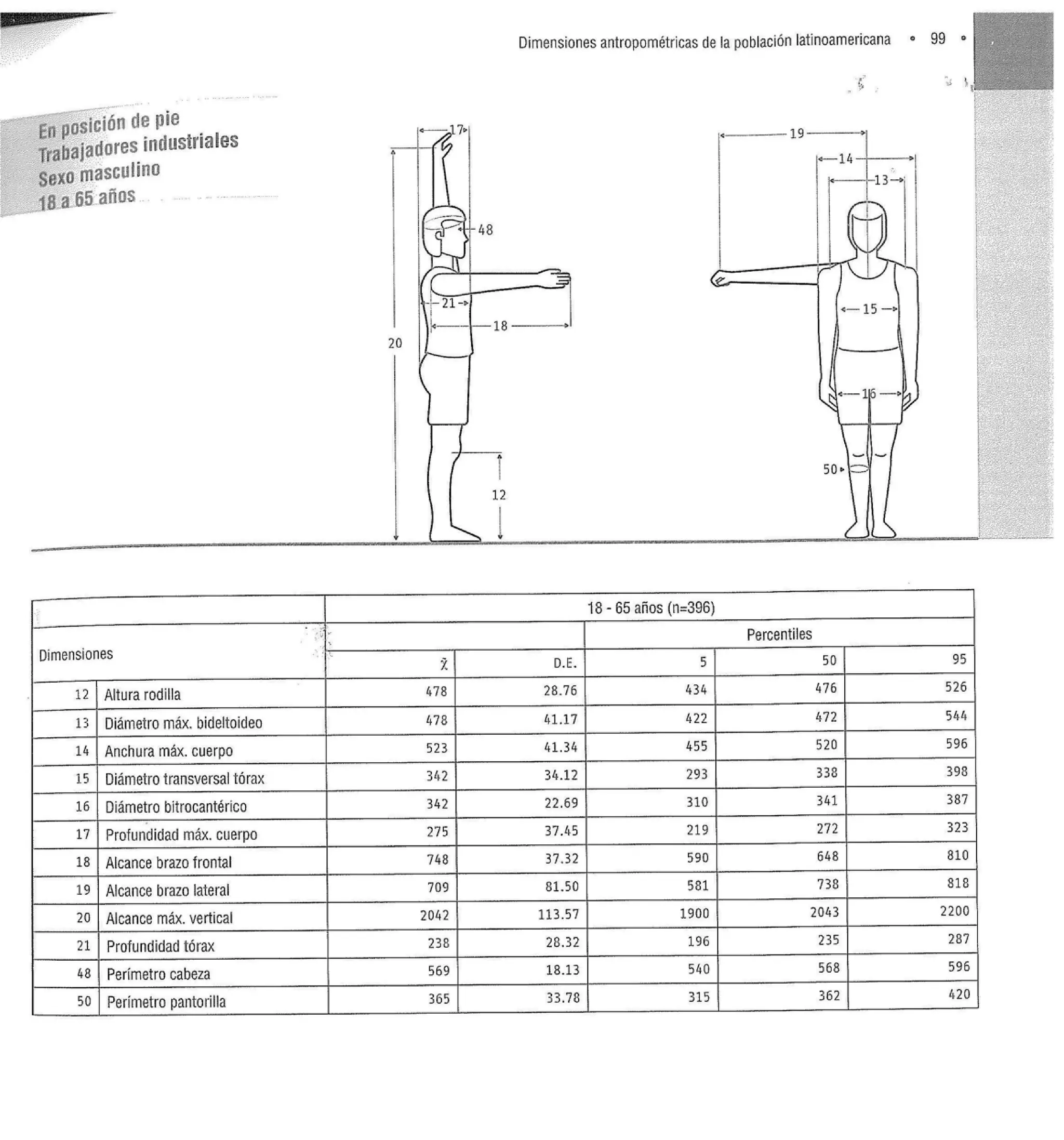 Dimensiones Antropométricas Mexicanas de 18 a 65 años | PDF