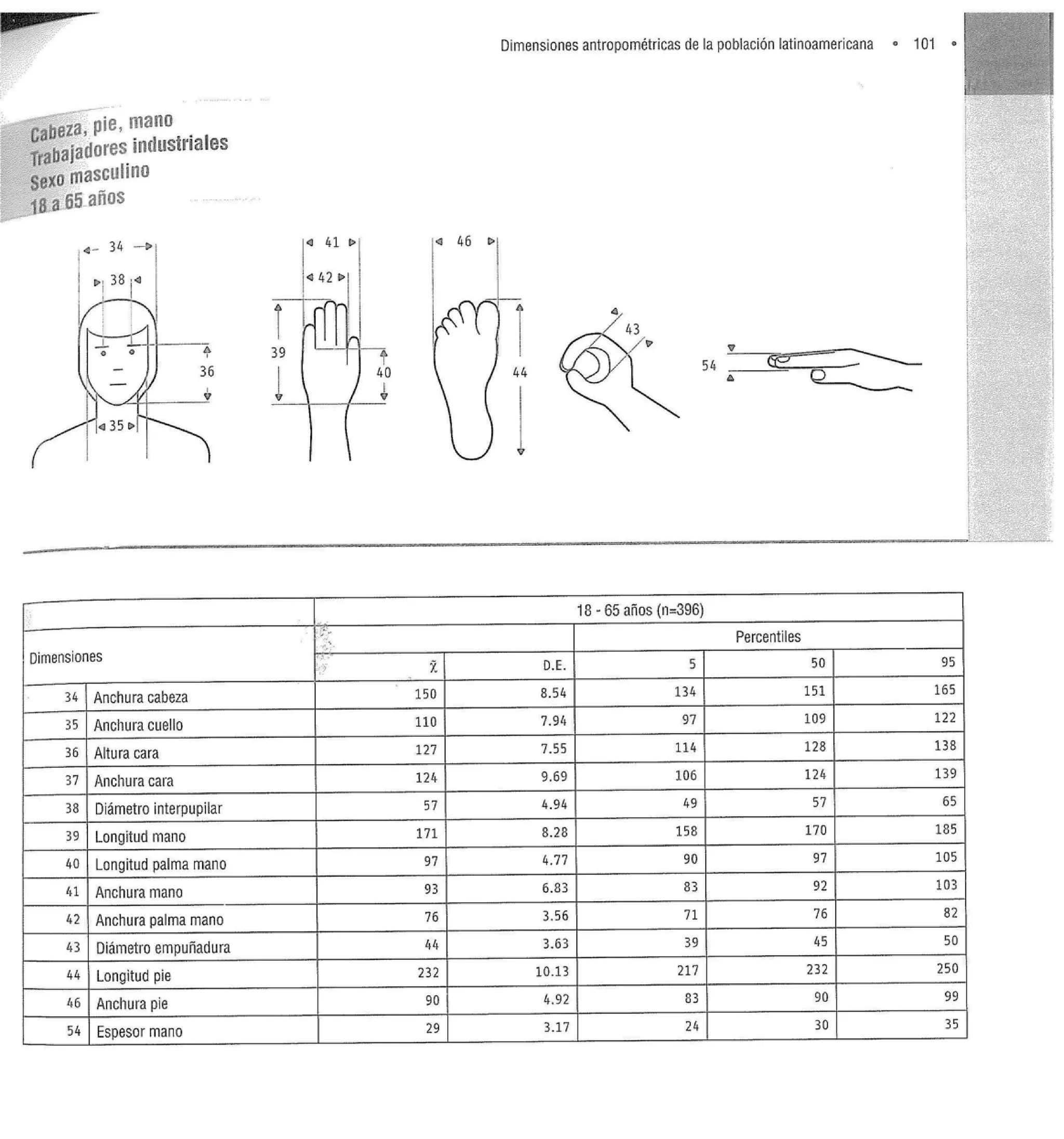 Dimensiones Antropométricas Mexicanas de 18 a 65 años PDF
