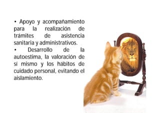 • Apoyo y acompañamiento
para la realización de
trámites
de
asistencia
sanitaria y administrativos.
•
Desarrollo
de
la
autoestima, la valoración de
sí mismo y los hábitos de
cuidado personal, evitando el
aislamiento.

 