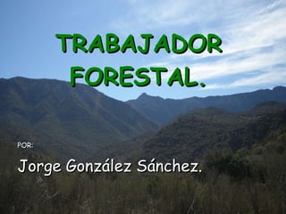 TRABAJADOR FORESTAL. POR: Jorge González Sánchez. 