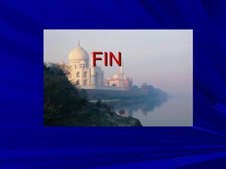 FIN 