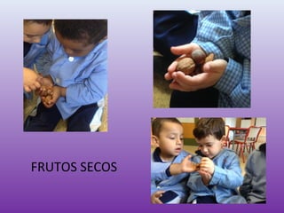 FRUTOS SECOS
 