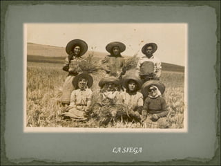 LA SIEGA