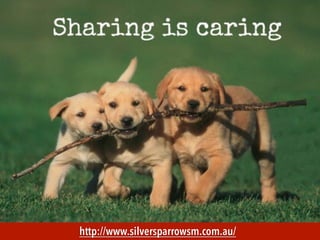 TRABAJANDO EN COMUNIDAD : WORDPRESS DESDE DENTRO

MECUS.ES

http://www.silversparrowsm.com.au/

 