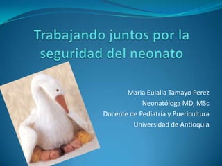 Trabajando juntos por la seguridad del neonato Maria Eulalia Tamayo Perez  Neonatóloga MD, MSc Docente de Pediatría y Puericultura  Universidad de Antioquia 