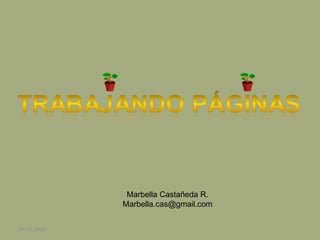 Marbella Castañeda R. [email_address] 07/03/2010 